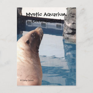 Carte postale mystique