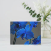 Carte Postale Mystique bleue (Debout devant)