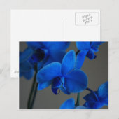 Carte Postale Mystique bleue (Devant / Derrière)