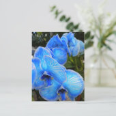 Carte postale mystique bleue d'orchidées (Debout devant)