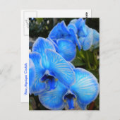 Carte postale mystique bleue d'orchidées (Devant / Derrière)