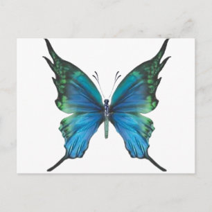 Carte Postale Mythe du printemps