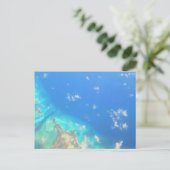 CARTE POSTALE N° 3 DE LA MER CARRIBÉENNE (Debout devant)