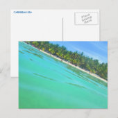 CARTE POSTALE N° 7 DE LA MER CARRIBÉENNE (Devant / Derrière)