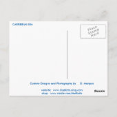 CARTE POSTALE N° 8 DE LA MER CARRIBÉENNE (Dos)