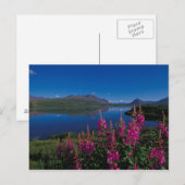 Carte Postale N.A., États-Unis, Alaska, Alaska Range Common (Devant / Derrière)