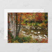 Carte Postale N.A., États-Unis, New Hampshire, White Mountains, (Devant / Derrière)