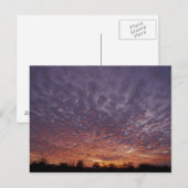 Carte Postale N.A., États-Unis, Nouveau-Mexique, près de Las Cru (Devant / Derrière)