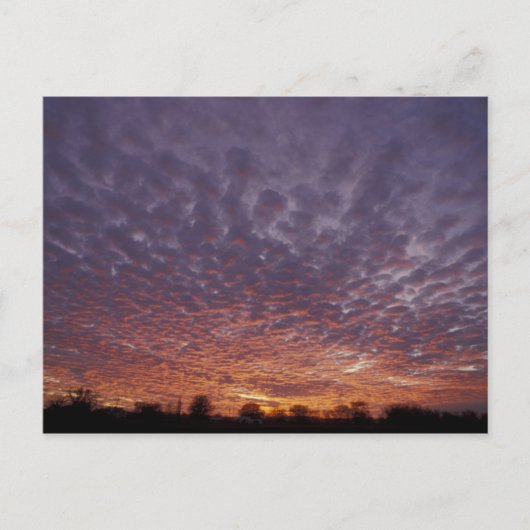 Carte Postale N.A., États-Unis, Nouveau-Mexique, près de Las Cru (Devant)