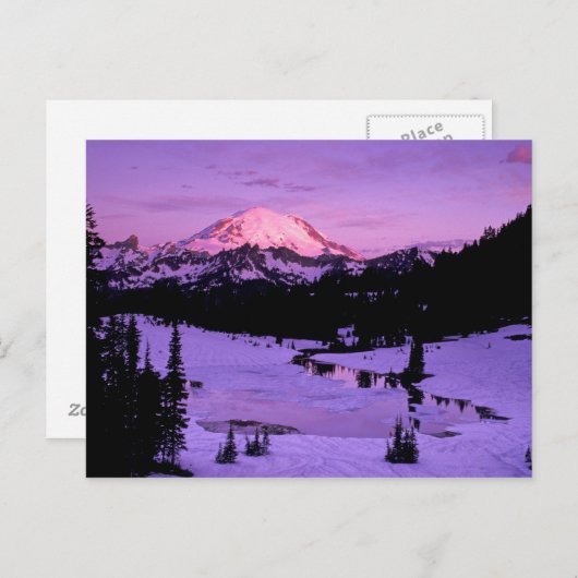 Carte Postale N.A., États-Unis, Washington, Mt. Rainier National (Devant / Derrière)