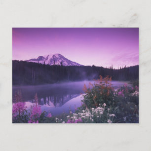 Carte Postale N.A., États-Unis, Washington, Mt. Rainier National
