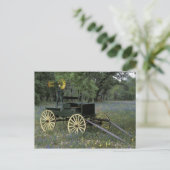 Carte Postale N.A., USA, Texas, Devine, Old wagon et (Debout devant)