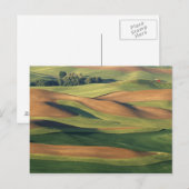 Carte Postale N.A., USA, Washington, Whitman County. (Devant / Derrière)