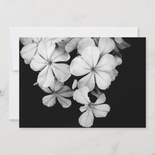 carte postale n&b (Devant)