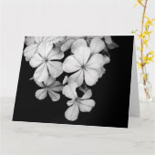 carte postale n&b (Fleur jaune)