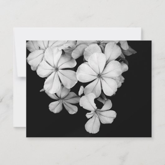 carte postale n&b (Devant)