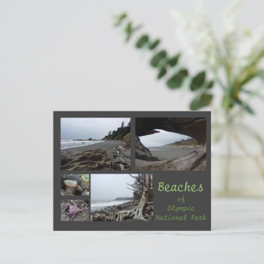 Carte Postale N.P. olympique (Plages - Kalaloch, Rialto, Plage 4 (Debout devant)