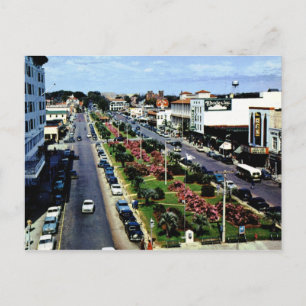 Carte Postale N Palafax St, Pensacola FL Vintage