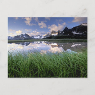 Carte Postale NA, Canada, Alberta, vallée de Tonquin. Jasper