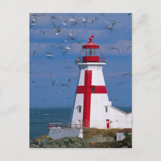 Carte Postale NA, Canada, Nouveau-Brunswick, île Campobello. 8 (Devant)