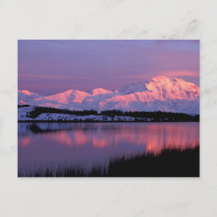 Carte Postale NA, États-Unis, Alaska, Denali NP, Mt. McKinley,