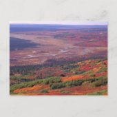 Carte Postale NA, États-Unis, Alaska, Denali NP, Vue de McKinley (Devant)