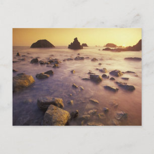 Carte Postale NA, États-Unis, Californie, Californie du Nord,