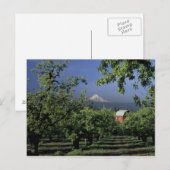 Carte Postale Na, Etats-Unis, Orégon, près de capot de la (Devant / Derrière)