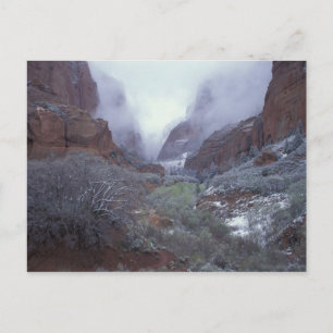 Carte Postale NA, États-Unis, Utah, Zion NP, tempête de neige pr
