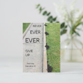 Carte Postale N'Abandonne Jamais. (Debout devant)