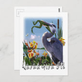 Carte Postale N'Abandonne Jamais ! (Devant / Derrière)