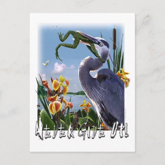 Carte Postale N'Abandonne Jamais ! (Devant)