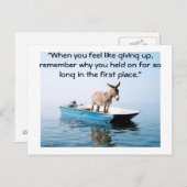 Carte Postale N'abandonne pas (Devant / Derrière)