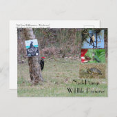 Carte postale Nacle Pineys (Devant / Derrière)