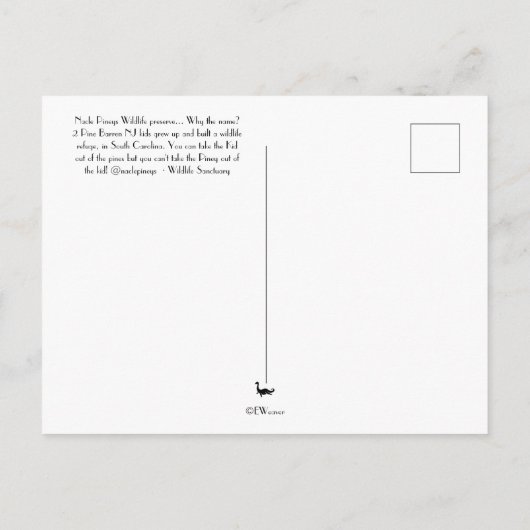 Carte postale Nacle Pineys (Dos)