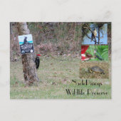 Carte postale Nacle Pineys (Devant)