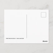 Carte Postale Nage de castor en Amérique du Nord (Dos)