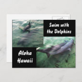 Carte Postale Nager avec les dauphins Hawaii (Devant / Derrière)