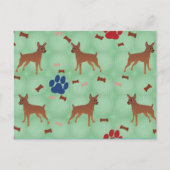 Carte Postale Nain Cartésien Pinscher (Devant)