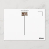 Carte Postale Nain dans la paille, coutume (Dos)