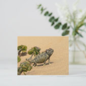 Carte Postale Namaqua Chameleon sur le sable du désert avec Plan (Debout devant)