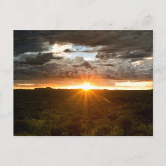 Carte Postale Namibia - Sunset over the plains postcard (Devant)