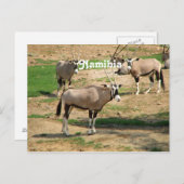 Carte Postale Namibie (Devant / Derrière)