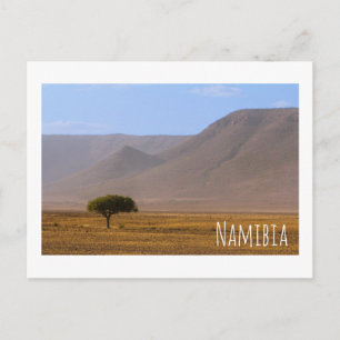 Carte Postale Namibie Afrique Désert Paysage Nature