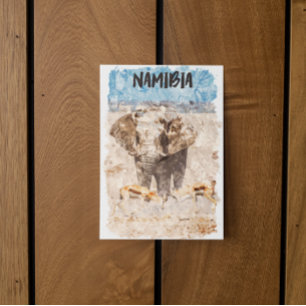 Carte Postale Namibie Afrique Safari Faune