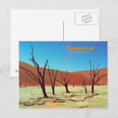 Carte Postale Namibie Sossuslvei (Devant / Derrière)