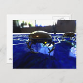 Carte postale Nano Bots (Devant / Derrière)