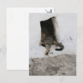 Carte Postale Nap (Devant / Derrière)