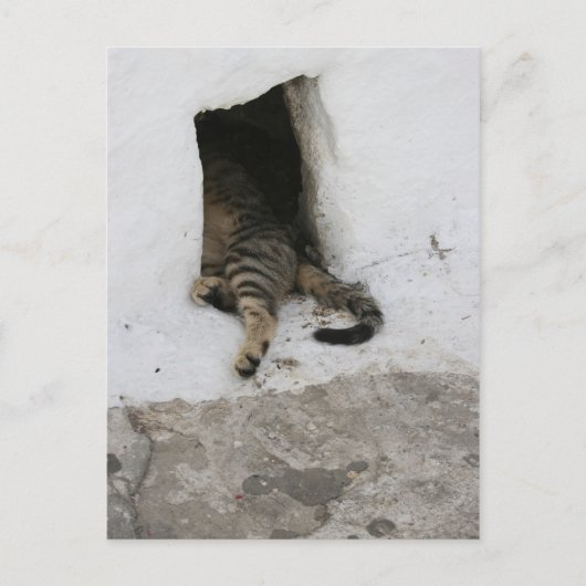 Carte Postale Nap (Devant)