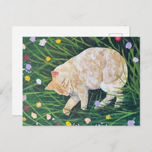 Carte Postale Nap de chat (Devant / Derrière)